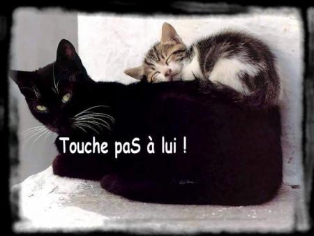 touche pas